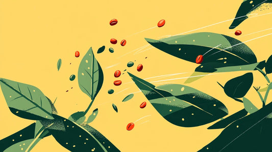 Yerba Mate vs Celsius: Which Energy Fits You?